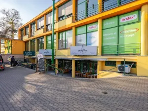 Prodej bytu 2+kk, Praha - Hloubětín, Mochovská, 63 m2