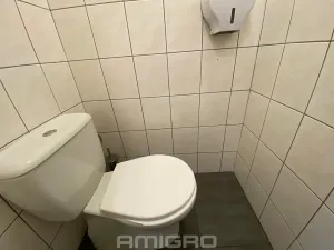 Pronájem obchodního prostoru, Brno, Merhautova, 56 m2