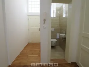 Pronájem bytu 1+1, Brno, Česká, 55 m2