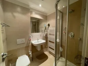 Pronájem bytu 1+kk, Praha - Žižkov, Prokopova, 16 m2