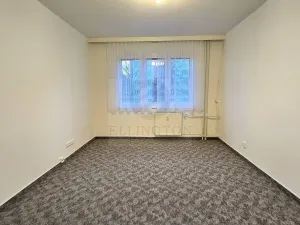 Pronájem bytu 2+1, Praha - Břevnov, Brunclíkova, 56 m2