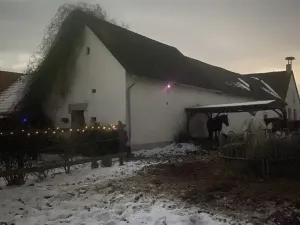 Prodej komerční, Pluhův Žďár - Jižná, 28792 m2