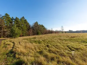 Prodej vícegeneračního domu, Vrchotovy Janovice, 380 m2