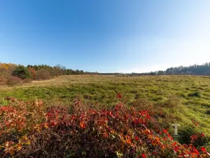 Prodej vícegeneračního domu, Vrchotovy Janovice, 380 m2