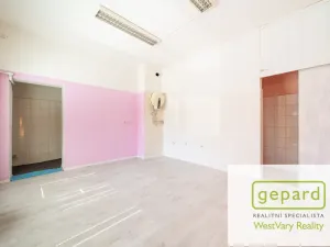 Prodej rodinného domu, Kynšperk nad Ohří, Jana Nerudy, 260 m2