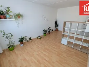 Pronájem bytu 1+1, Cheb, Hrnčířská, 42 m2