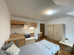 Pronájem bytu 1+kk, Olomouc - Nová Ulice, Balcárkova, 25 m2