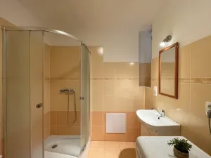 Pronájem bytu 1+kk, Olomouc - Nová Ulice, Balcárkova, 25 m2