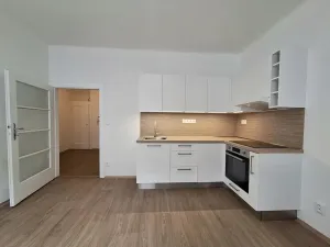 Pronájem bytu 3+kk, Brno, Pekařská, 60 m2