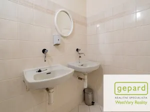 Prodej rodinného domu, Merklín, 279 m2