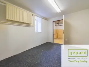 Prodej rodinného domu, Merklín, 279 m2