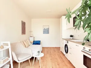 Pronájem bytu 1+kk, Praha - Michle, Batelovská, 18 m2