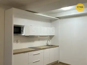 Pronájem bytu 1+kk, Ostrava, S. K. Neumanna, 30 m2