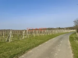 Prodej sadu/vinice, Němčičky, 11748 m2