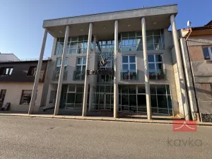 Prodej komerční nemovitosti, Světlá nad Sázavou, Lánecká, 1000 m2