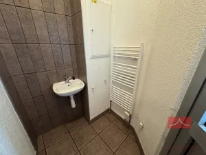 Prodej komerční nemovitosti, Světlá nad Sázavou, Lánecká, 1000 m2