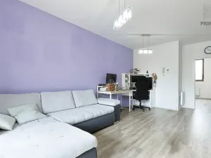 Pronájem bytu 3+kk, Brno, Řípská, 70 m2