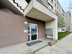 Pronájem bytu 3+kk, Brno, Řípská, 70 m2