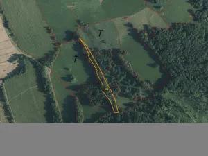 Prodej pole, Česká Kamenice - Horní Kamenice, 5161 m2