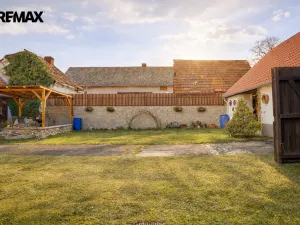 Prodej zemědělské usedlosti, Drhovle - Pamětice, 160 m2