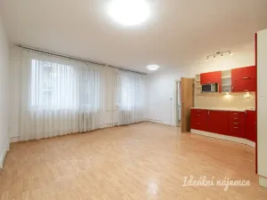 Pronájem bytu 3+kk, Praha - Žižkov, Přemyslovská, 65 m2