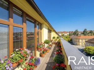 Prodej bytu 2+kk, Brno - Husovice, Svitavská, 38 m2