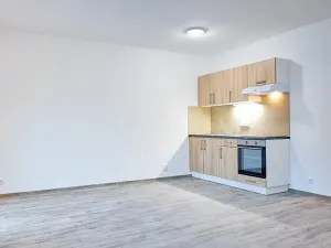 Pronájem bytu 1+kk, Plzeň, Rejskova, 38 m2