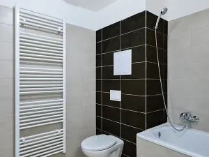 Pronájem bytu 1+kk, Plzeň, Rejskova, 50 m2