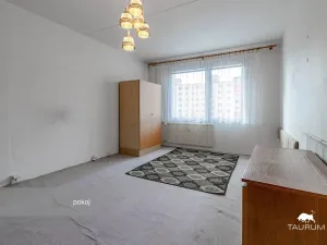 Prodej bytu 1+1, Plzeň - Severní Předměstí, Hodonínská, 47 m2