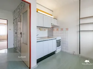 Prodej bytu 1+1, Plzeň - Severní Předměstí, Hodonínská, 47 m2