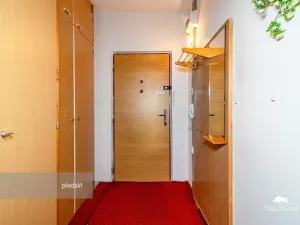 Prodej bytu 1+1, Plzeň - Severní Předměstí, Hodonínská, 47 m2