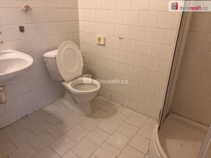 Pronájem bytu 1+kk, Praha - Zbraslav, K výtopně, 20 m2