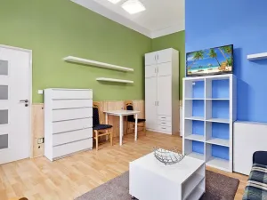 Pronájem bytu 1+kk, Opava - Město, Nákladní, 32 m2