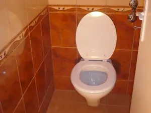 Pronájem bytu 2+kk, Praha - Strašnice, Věšínova, 46 m2