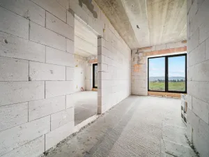 Prodej vícegeneračního domu, Náchod - Pavlišov, 240 m2