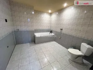 Pronájem obchodního prostoru, Uherské Hradiště - Mařatice, Jižní, 134 m2