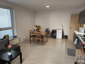 Pronájem bytu 2+kk, Olomouc, Eduarda Hamburgera, 51 m2