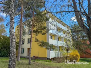 Prodej bytu 2+1, Brno - Žabovřesky, Záhřebská, 55 m2