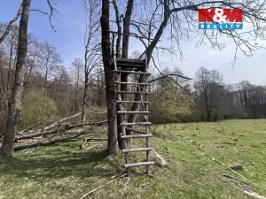 Prodej louky, Cvikov - Trávník, 545 m2