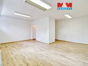 Prodej obchodního prostoru, Most, Javorová, 34 m2