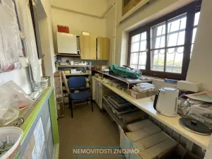 Pronájem výrobních prostor, Petrovice, 360 m2