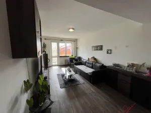 Prodej bytu 3+1, Studénka - Butovice, A. Dvořáka, 62 m2