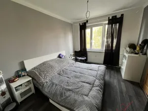 Prodej bytu 3+1, Studénka - Butovice, A. Dvořáka, 62 m2