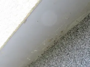 Dražba rodinného domu, Týnec nad Labem, Hradská, 10 m2