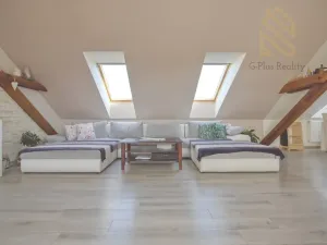 Prodej atypického bytu, Hrobčice - Razice, 244 m2