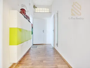 Prodej atypického bytu, Hrobčice - Razice, 244 m2