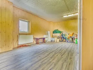 Prodej atypického bytu, Hrobčice - Razice, 244 m2