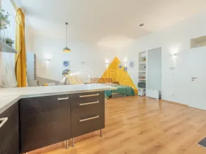 Pronájem bytu 1+kk, Praha - Vinohrady, Mánesova, 53 m2