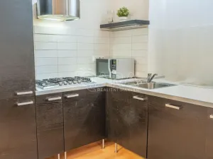 Pronájem bytu 1+kk, Praha - Vinohrady, Mánesova, 53 m2