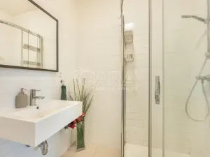 Pronájem bytu 1+kk, Praha - Vinohrady, Mánesova, 53 m2